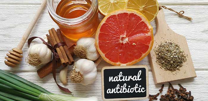 Holistic antibiotics in Santa Rosa