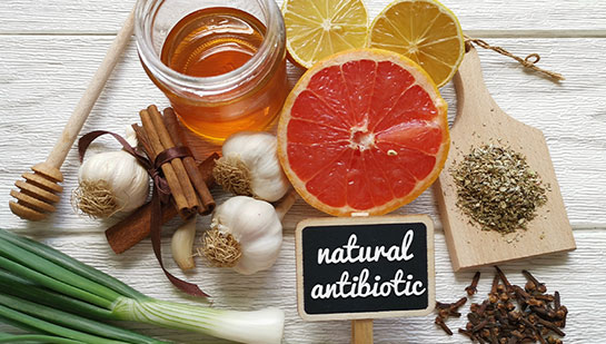 Holistic antibiotics in Santa Rosa